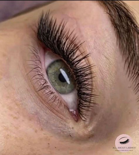 Lash Extensions 2d, 2d Lash Extensions, Lash Extensions Styles With Color, Lash Extensions Tips, Eyelash Extensions Tips, 2d Lashes, Lash Extensions Mapping Styles, Lash Extensions Mapping, Color Lash Extensions