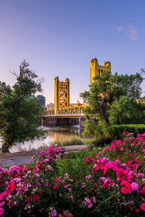 With plenty of historic sites, a thriving craft beer scene, plenty of museums, and a food lovers’ paradise there are plenty of things to do in Sacramento to keep you busy. | The Planet D #Sacramento #California | things to do in sacramento california | things to do sacramento ca | fun things to do in sacramento ca | North America Travel | Visit the USA | Most Beautiful Travel Photos Things To Do In Sacramento California, Sacramento California Aesthetic, Sacramento Aesthetic, Sacramento Bridge, California Museums, Sacramento State University, Things To Do In Sacramento, Sac State, California Sacramento