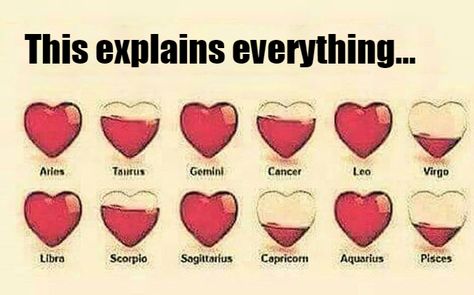 Zodiac Sign Fashion, Zodiac Signs Chart, Zodiac Signs Sagittarius, Zodiac Signs Leo, Zodiac Sign Traits, Zodiac Signs Gemini, Zodiac Signs Horoscope, Zodiac Signs Funny, Zodiac Memes