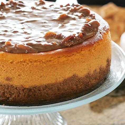 Larger-Than-Life Praline Cheesecake - Taste and Tell Praline Pumpkin Upside Down Cake, Pumpkin Praline Cheesecake, Praline Cheesecake, Pumpkin Praline, Ultimate Cheesecake, Rustic Wreaths, Taste And Tell, Snickers Cheesecake, Ice Cream For Breakfast