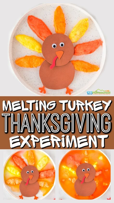 Thanksgiving Science, Thanksgiving Stem Activities, Thanksgiving Lesson Plans, Thanksgiving Activities Preschool, Turkey Activity, Toddler Science Experiments, Thanksgiving Lessons, Science For Toddlers, Thanksgiving Crafts Preschool