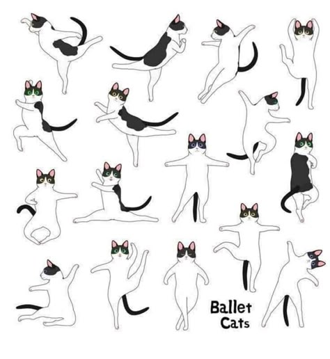 Ballet Cat Illustration, Cat Standing Illustration, Mouse Pointer, Ballet Illustration, Dancing Drawing, Cartoon Cat Drawing, Cat Attack, Illustration Cat, Cat Sketch