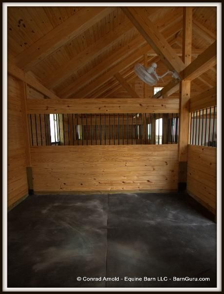 3 Stall Horse Barn Interior Photos 3 Stall Horse Barn, Horse Barn Interior, Equine Barns, Small Horse Barns, Horse Farm Ideas, Pallet Barn, Diy Horse Barn, Cattle Barn, Horse Barn Ideas Stables