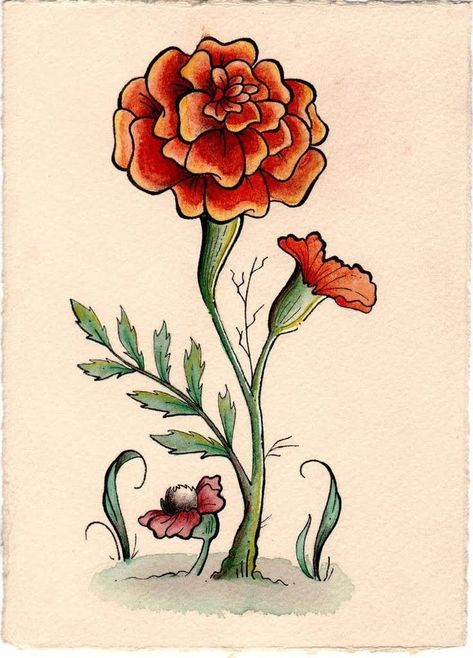 How To Paint Marigolds, Marigold Flower Drawing, Marigold Drawing, Marigold Painting, Marigold Flower Tattoo, Marigold Art, Marigold Tattoo, Traditional Tattoo Flowers, Marigold Flower