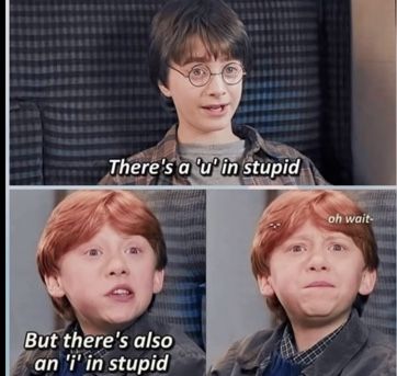 Last Brain Cell, Harry Potter Funny Pictures, Harry Potter Parody, Glume Harry Potter, Funny Harry Potter Jokes, Harry Potter Memes Hilarious, Harry Potter Feels, Harry Potter Puns, Harry Potter Pin