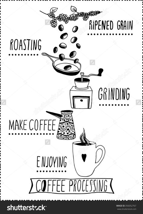 Coffee Processing Illustration. Hand Drawn Style Isolated On White ... Coffee Farm Illustration, Espresso Illustration Design, Coffee Roasting Illustration, Coffeshop Illustration, Coffee Making Process Illustration, Coffee Process, Coffee Artwork, Coffee Box, Coffee Roastery