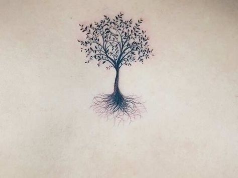 tree of life tattoo ideas Remember Your Roots Tattoo, Tree With No Leaves Tattoo, Olive Trees Tattoo, Delicate Tree Tattoo, Birch Tree Tattoo For Women, Dainty Tree Tattoo, Fine Line Tree Of Life Tattoo, Small Tree Of Life Tattoo, Tree Tattoo Designs For Women