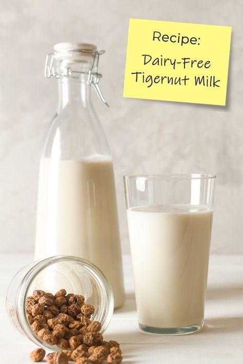 Dairy-Free Tigernut Milk Recipe - rich, creamy, naturally sweet milk alternative made with tiger nuts. It's allergy-friendly, paleo, and yes, tree nut free! Also known as horchata de chufa and used to make Spanish-style horchata. Tigernut Milk, Gluten Free Cake Recipes Easy, Tiger Nut Milk, Peanut Free Desserts, Homemade Horchata, Tiger Nut, Sweet Milk, Healthy Cookie Recipes, Allergy Free Recipes