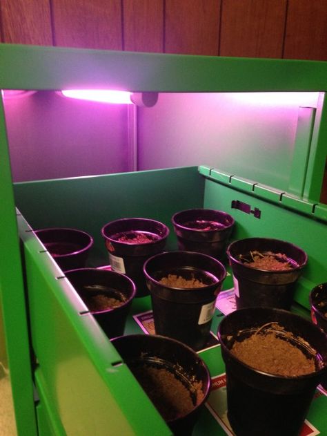 DIY - Grow Box Grow Boxes, Diy Spices, Own Place, Small Garden, A Garden, To Grow