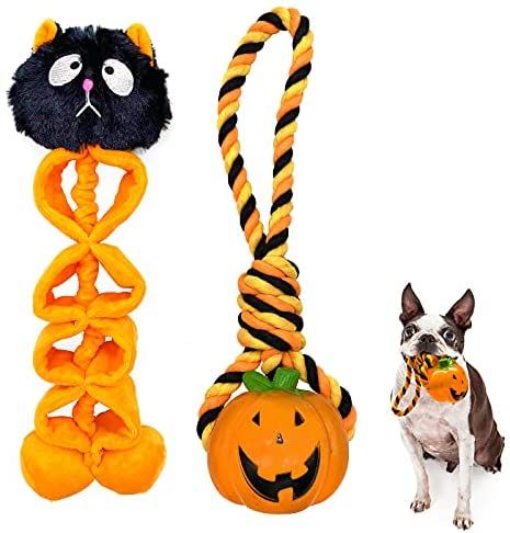 Halloween Dog Toys, Boo Basket, Fall Dog, Halloween Dog, Candy Christmas, Favorite Animals, Dog Chew, Candy Christmas Decorations, Dog Sweatshirt