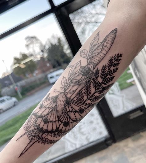 Moth Fern Tattoo, Fern And Moth Tattoo, Moth And Dagger Tattoo, Moth Dagger Tattoo, Horrible Tattoos, Earthy Tattoos, Body Tattoo Design, Fern Tattoo, Explore Tattoo