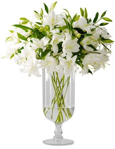 SO LOVELY! Ralph Lauren Declan Tall Vase http://api.shopstyle.com/action/apiVisitRetailer?id=456861582&pid=uid1209-1151453-20 Floor Vases Decor, Vase Png, House Moodboard, Floral Desing, Floral Wreath Design, Pedestal Vase, Home Floral Arrangements, Tall Vase, Home Bedding