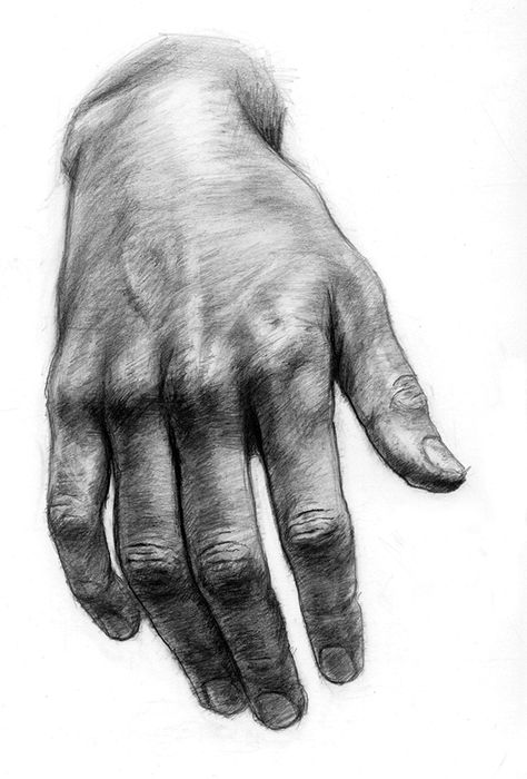 The artist's left hand, in fact only his left one because when observed in mirror it becomes his right one, while his right one holds the pencil.Drawings of hands done in a classical manner and anatomically studied. Depictions of hands in various positio&#8230; Hand Kunst, Easy Pencil Drawings, Beautiful Pencil Drawings, Desen Realist, Easy Drawing Steps, Drawing Eyes, Cool Pencil Drawings, Pencil Drawings Easy, Drawing Faces