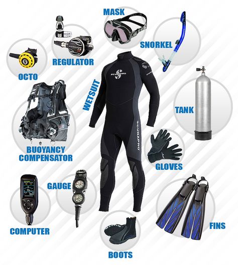 Scuba Diving Suit, Scuba Diving Quotes, Scuba Equipment, Scuba Diving Photography, Diver Down, Bawah Air, Sea Diving, Scuba Diving Equipment, Best Scuba Diving