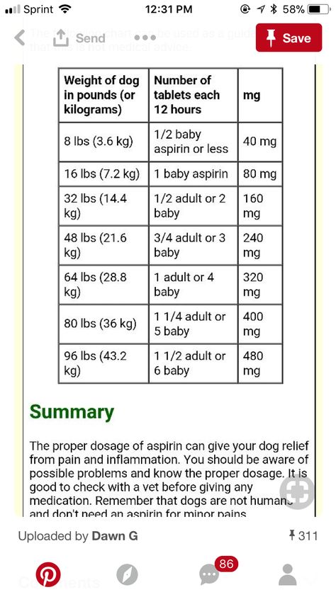 Aspirin dosage for dogs Baby Aspirin For Dogs, Aspirin For Dogs, Pet Remedies, Dog Treats Homemade Recipes, Dog Tips, Dog Info, Homemade Dog Food, Homemade Dog, Pet Lover