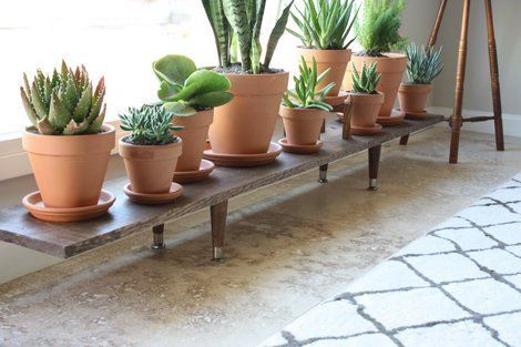 DIY Plant Decor: 5 Modern Plant Stands - diy low plant stand. Cheap and easy. This would be perfect for the walkway under my bedroom window. I would plant cacti as to discourage people from tampering with the window. Indoor Plant Shelves, Window Plants, Trendy Plants, Modern Plant Stand, Indoor Window, Wooden Plant Stands, Wood Plant Stand, Diy Plant Stand, Plant Stand Indoor