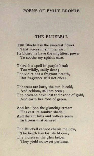 19th Century Poetry, Old Poetry Aesthetic, Poems By Famous Poets, Victorian Poetry, English Bluebells, Old Poetry, Classic Poetry, Meaningful Poems, Prose Poetry