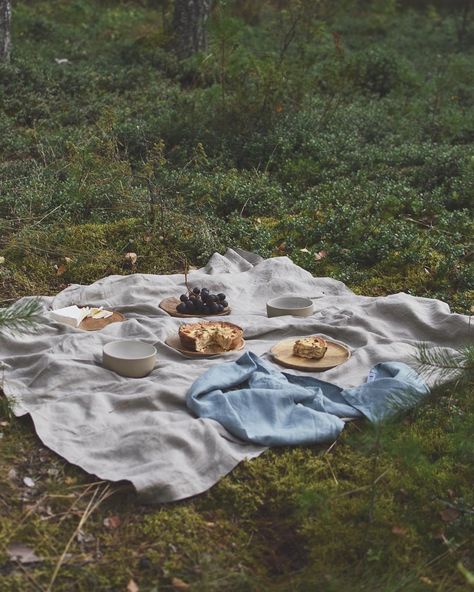 A lunch in the forest. Ellen Core Aesthetic, Picnic Ideas, Forest Photos, Picnic Date, Perfect Picnic, Mind's Eye, Italian Summer, + Core + Aesthetic, A Picnic