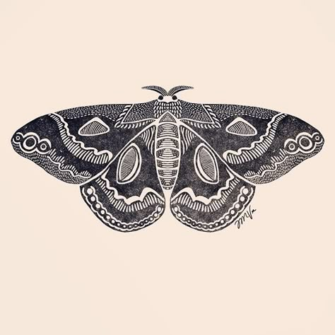 Rothschild Silkmoth 💎💎💎 #creativelifehappylife #makersgonnamake #insectart #procreate #applepencil #artstagram #digitalart #linocut #moth Folk Art Moth Tattoo, Linocut Moth, Neo Traditional Moth, Moth Linocut, Traditional Tattoos Japanese, Small Tattoos Sleeve, Tattoos Abstract, Tattoos Celtic, Tattoos Colorful