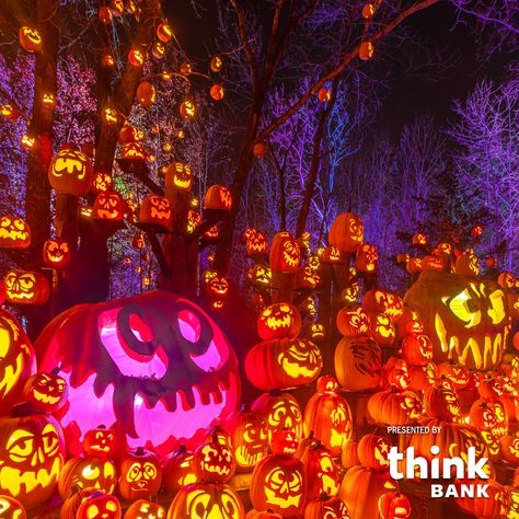 Now thru November 5th, the Jack-O-Lantern Spectacular returns bigger and better than ever at the Minnesota Zoo! Gather your family and friends and come explore our glowing trail with thousands of artistically carved pumpkins. This year’s trail will lead you on a magical journey through a ‘Night at the Library,’ featuring new artists’ creations and plenty of seasonal fun. Secure your tickets today! #halloween Jack O Lantern Spectacular, New York Road Trip, Scary Witches, Sleepy Hollow Ny, Fall Costume, Vampire Skull, Spooky October, Halloween Crafts Preschool, Pumpkin Festival