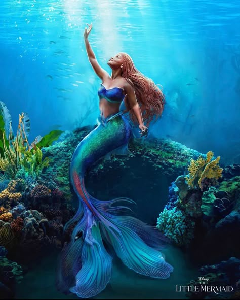 Ariel Halle Bailey, Ariel Wallpaper, Little Mermaid Wallpaper, The Little Mermaid Live Action, Lil Mermaid, Real Life Mermaids, Little Mermaid Live Action, The Little Mermaid 2023, Mermaid Movies