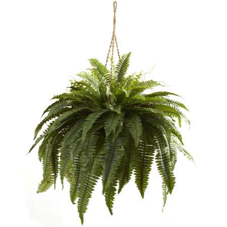 Double Giant Boston Fern Hanging Basket, Green Fern Hanging Basket, Plants In Baskets, Artificial Plant Arrangements, Artificial Plants Indoor, Boston Fern, Artificial Plants And Trees, Artificial Plants Outdoor, Plants For Hanging Baskets, Fern Plant