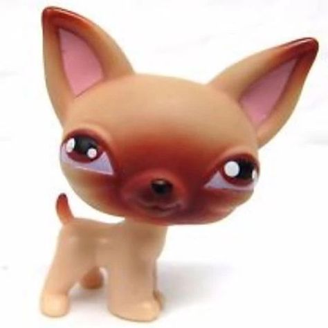 Lps Daschund, Lps Bear, Littlest Pet Shop 2000s, Lps Chihuahua, Lps Memes, Lps Pfp, Lps Rare, Lps Baby, Old Lps