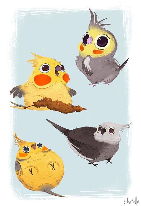 Super adorable cockatiel art Danielle Brown, 동화 삽화, Cartoon Birds, Bird Drawings, Bird Illustration, Cute Animal Drawings, Illustration Character Design, Facial Expressions, Cool Stuff