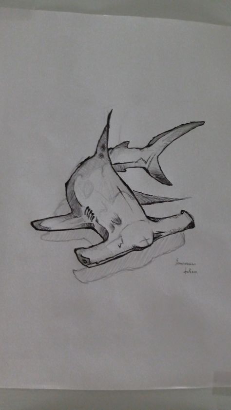 Marine Animals Sketch, Shark Drawings Easy, Drawings Of Sharks, Ocean Animals Sketch, Whale Sharks Drawing, Shark Whale Drawing, Ocean Animal Sketches, Whale Shark Drawing Sketches, Shark Drawing Sketches