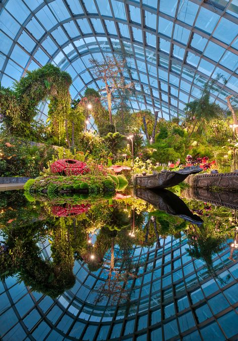 On the blog: The Indoor Rainforest (and a Lightroom tip) https://www.stuckincustoms.com/2018/05/11/the-indoor-rainforest/ #treyratcliff Rainforest Aesthetic, Indoor Rainforest, Singapore Things To Do, Singapore Vacation, Singapore Attractions, Singapore Travel Tips, Holiday In Singapore, Singapore Tour, Singapore Garden