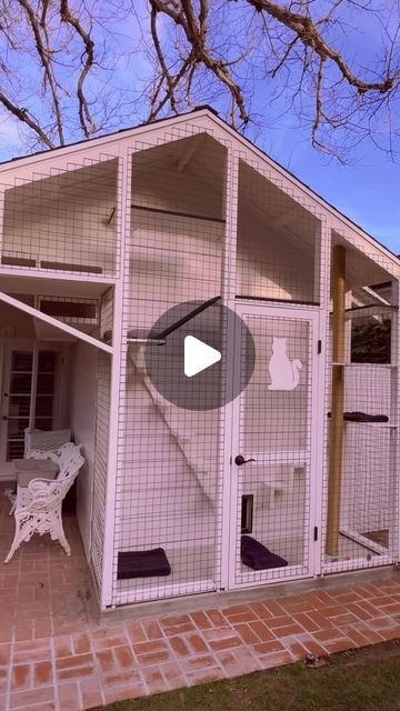 Cat Runs Enclosure, Catios Ideas For Cats, Patio Catio, Cat Patio Enclosure, Cat Playhouse, Cat Patio, Patio Enclosures, Cat Enclosure, Screened In Patio