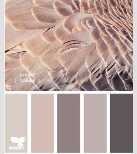 Color palette Design Seed, Palette Design, Color Palate, Design Seeds, Trendy Bedroom, Bedroom Paint, Paint Schemes, Bedroom Colors, Colour Schemes