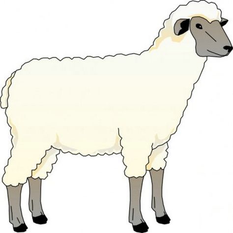 Pictures Of Sheep - Cliparts.co Sheep Clip Art, Sheep Drawing, Sheep Vector, Sheep Illustration, Animal Outline, Sheep Crafts, Sheep Art, Clip Art Pictures, Sheep And Lamb