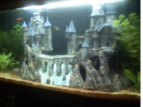 Ce grand château est divisé en deux pièces, toutes deux disponibles sur Décorations Aquarium. Livraison offerte avec liens ci-dessous. Cool Fish Tank Decorations, Fish Tank Themes, Cool Fish Tanks, Aquarium Landscape, Cool Fish, Fish Tanks, Tank Design, Fish Tank Decorations, Angel Fish