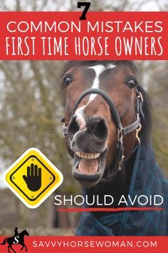 7 Common Mistakes First Time Horse Owners Should Avoid - Savvy Horsewoman Training Horses, Horse Background, Horse Ownership, Horse Behavior, Horse Care Tips, Horse Facts, Horse Info, Horse Riding Tips, Horse Training Tips