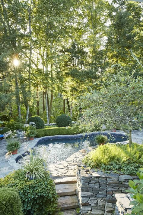 Rectangular Pool, Landscaping Company, Small Pool, Swimming Pool Designs, Garden Pool, Pool Ideas, Pool Landscaping, Cool Pools, English Garden