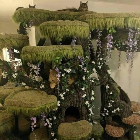 Cherrie White Mayer (@glitterophelia) • Instagram photos and videos Cottage Core Cat, Jellyfish Hanging, Cottagecore Cat, Cat Castle, Jellyfish Lamp, Modern Balcony, Rare Cats, Cat Tower, Cat Room