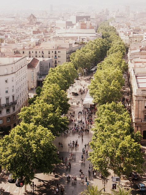 Las Ramblas, Barcelona Spain Barcelona Ramblas, Barcelona Landscape, Barcelona Las Ramblas, Las Ramblas Barcelona, Video Hotel, Urban Bedroom, Green Corridor, Barcelona Street, Barcelona Architecture