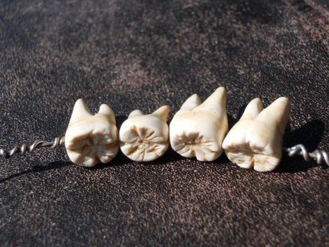 Creepy Diy, Teeth Necklace, Fallout Props, Teeth Aesthetic, Fae Aesthetic, Portraiture Painting, Rennaissance Art, Teeth Jewelry, Tooth Necklace