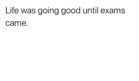 Tweets About Exams, Exam Over Quotes Funny, Funny Exam Quotes, Exam Over Quotes, Funny Bio, Exams Funny, Exam Quotes, Maths Exam, Funny Note