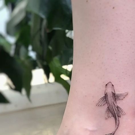 Wildflowers | Fine Line Tattoo on Instagram: "Little Koi fish for Shannon 🐟  #koifishtattoo #koifishart #fishtattoo  #fishlillustration #torontotattoo #torontotattooartist #queertattooartist #torontoqueer #queerartist #femaletattooartist #armtattoo #girlswithtattoos #finelinetattoos #blackandgreytattoos #wildlifelillustration #stipplingtattoo #ankletattoo #smalltattoos" Koi Fish Tattoo Fine Line, Fine Line Fish Tattoo, Fine Line Koi Fish Tattoo, Stippling Tattoo, Wildflowers Tattoo, Fine Line Tattoo, Koi Fish Tattoo, Female Tattoo Artists, Fish Tattoo