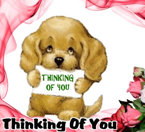 Thinking Of You Today Friend, Thinking Of You Gif, Just Checking In On You, Just Checking In On You Images, Kisses Quotes, Thinking Of Him, Bestie Quotes, Funny Dog Signs, Morning Hugs