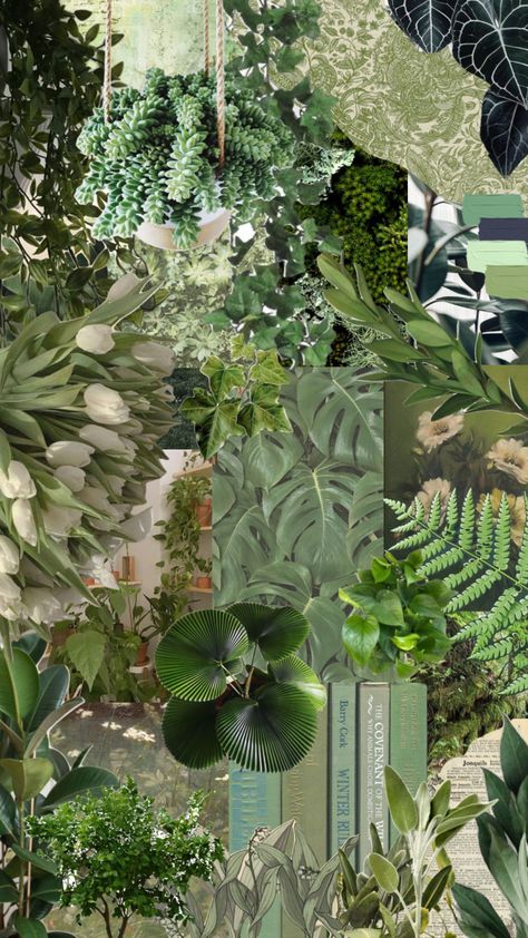 Environmental Collage, Plants Collage, Nature Collage, Collage Art Projects, Artistic Inspiration, Year 2, Foliage Plants, Plant Art, Exotic Plants