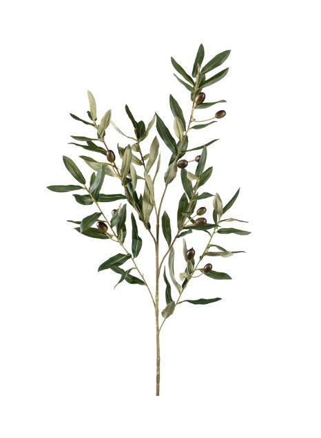 This artificial olive branch spray is perfect for adding a bit of home-grown garden beauty to any arrangement. Measures: 41" Autumn Olive, Botanical Display, Olive Plant, Wholesale Plants, Fruit Flowers, Greenery Garland, Gold Aesthetic, Farm Stand, Olive Gardens