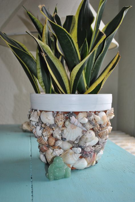 DIY Shell Planter | life. use it as inspiration. Beach Theme Wall Decor, Shell Planter, Seashell Projects, Beach Theme Decor, Beach Diy, Seashell Art, Beach Crafts, Seashell Crafts, Mason Jar Crafts