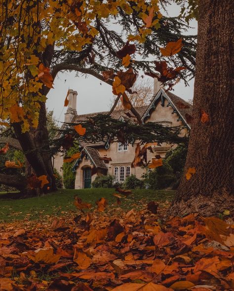 Autumn is one of the most beautiful times to visit Bath 🍂 I miss it dearly Have you visited this lovely place? I might be biased but I think it’s the most beautiful city in the UK ✨ P.s. Bridgerton fans, you might recognise it! #uktravel #bathengland #bathcity #igersbath #visitengland #englandtravel #uktravelblogger #visitbath Fall In Edinburgh, Edinburgh Fall Aesthetic, Autumn In Edinburgh, Edinburgh Scotland Aesthetic Autumn, Edingbruh Autumn, Visit Bath, Bath England, Visiting England, Beautiful City