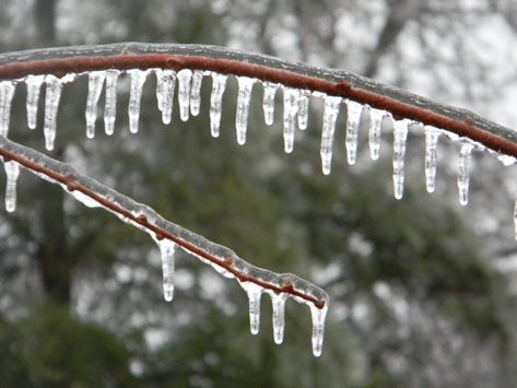 Ice Rain, Freezing Rain, Ice Storm, Winter Storm, Puget Sound, Snow And Ice, Winter Weather, Cold Air, The Science