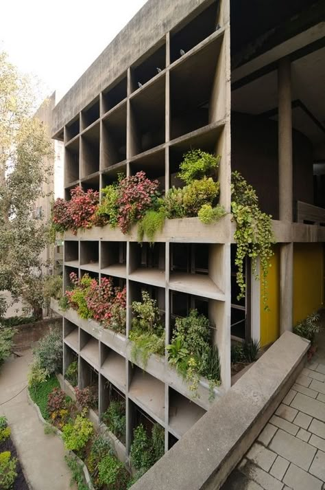 Corbusier Architecture, Berlin Architecture, Industrial Exterior, Le Corbusier Architecture, Living Room Industrial, Villa Savoye, Industrial Age, Green Facade, Plants Growing