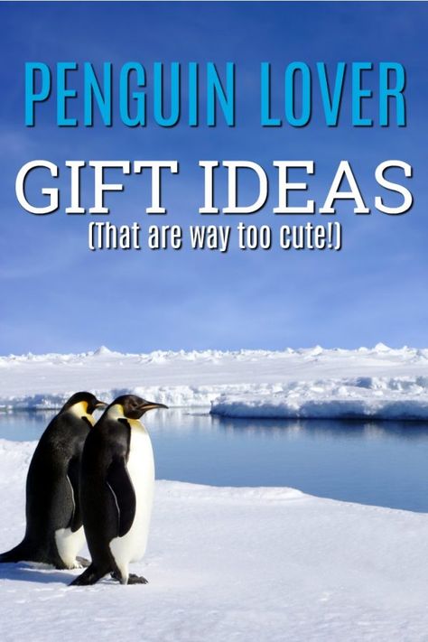 20 Penguin Gift Ideas We Had to Buy For Ourselves (too cute!) Gifts For Penguin Lovers, Penguin Gifts, Fun Christmas Gifts, Christmas Gifts Unique, All About Penguins, Diy Anniversary Gift, Birthday Ideas For Her, 40th Gifts