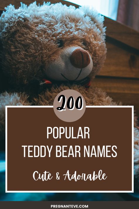 Fur Teddy Bears, Build A Bear Names Ideas, Teddy Bear Names Ideas, Names For Teddy Bears, Stuffed Animal Names, Monkey Teddy Bear, Best Teddy Bear, Red Teddy Bear, Twin Names